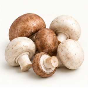 Champignons en conserve
